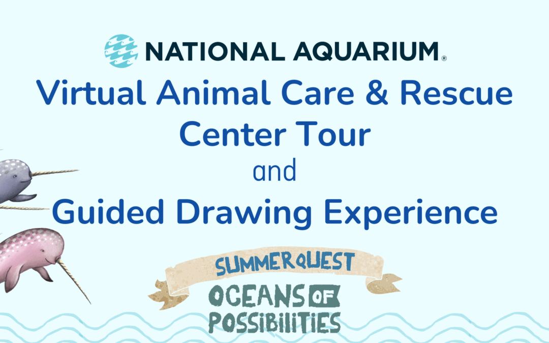 Animal Care & Rescue Center Tour and Guided Drawing Experience with the National Aquarium of Baltimore